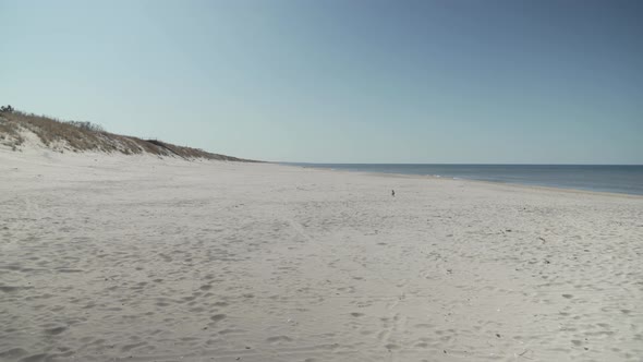 Deserted Smiltyne Beach on a Sunny Day near Baltic Sea
