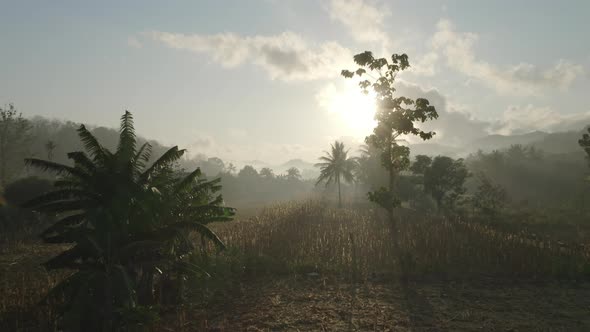 Drone Hovering Above Plain Fields Surrounded By Trees and Mountain Silhouette in Background alt