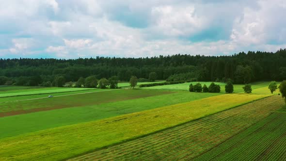 Flight Over Agricultural Fields in Austria, Car on Road To Forest