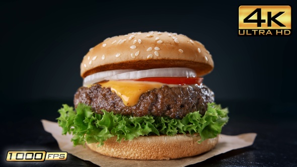 Hamburger on Brown Paper Sheet alt