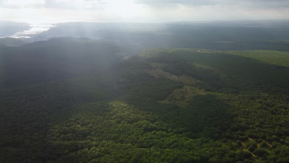 Valley Covered with Deciduous Forest Aerial View