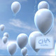 Photo Gallery Floating Balloons in Sky  - VideoHive Item for Sale