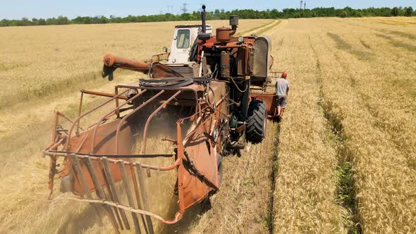 Farmer Rides an Old Combine to Work alt