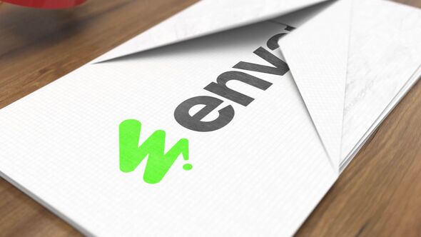 Origami Plane Logo Reveal Logo Stings template preview