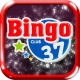 Bingo MYSQL Database HTML5