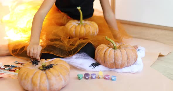 Child play with spider, decorating a pumpkin at home