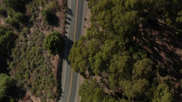 Following back road through the Berkeley hills aerial shot looking down,  Northern California alt