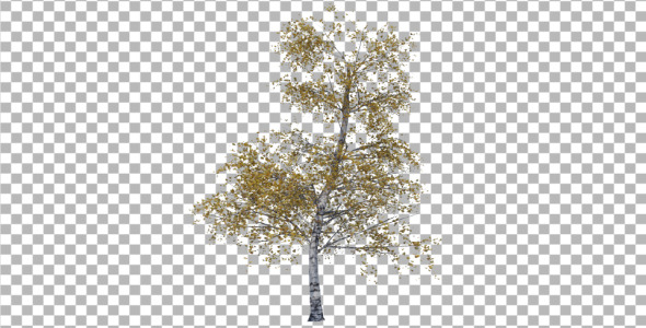 Tree - 3Docean 4286740
