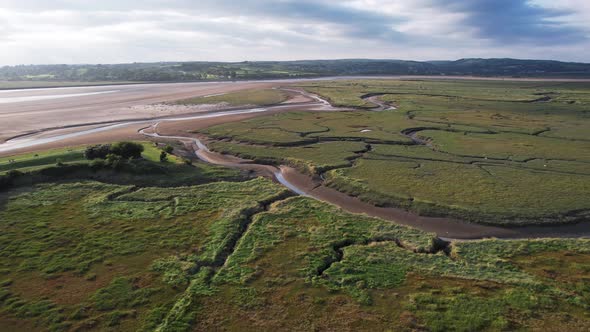 AERIAL: Footage ascending across the Estuary over a group of seabirds during sunset, Gower, 4K Drone alt