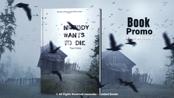 Book Promo Crime Mystery Product Promo template preview