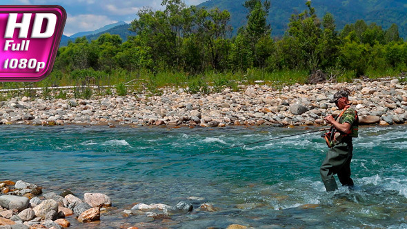 Replacement Spinner  alt