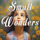 Small Wonders Small Wonders