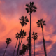 Uplifting Dreamy Chillstep