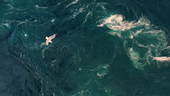 Waves of Water of the River and the Sea Meet Each Other During High Tide and Low Tide. alt