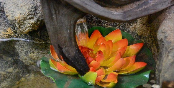 Mountain Stream 7 alt