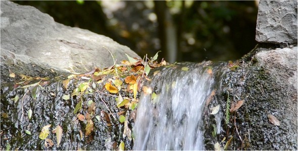 Mountain Stream 3 alt