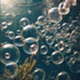 Underwater Bubbles