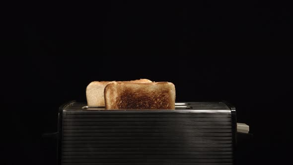 Toasted bread in a kitchen toaster