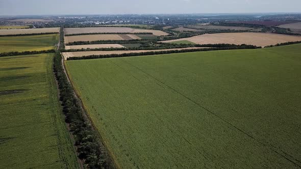 Large Green Field From a Height