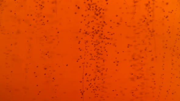  Pouring Dark Beer with Bubbles in Glass