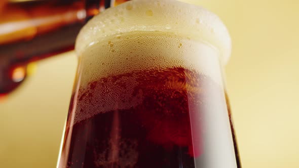 Foamy Beer in Glass Closeup alt