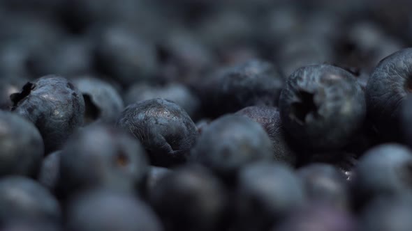 Detail of Blueberries. Macro Trucking Shot.  Resolution Side View. Extreme Close Up alt