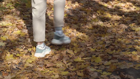 Close up view of female feet walking on a fallen autumn leaves. alt