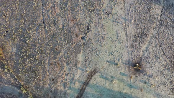 Aerial drone birds eye view shot of countryside in snow alt