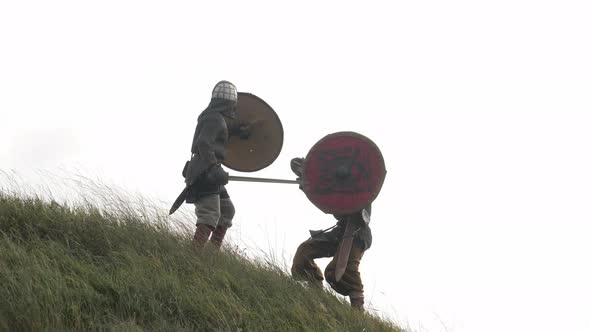 Two vikings fighting alt