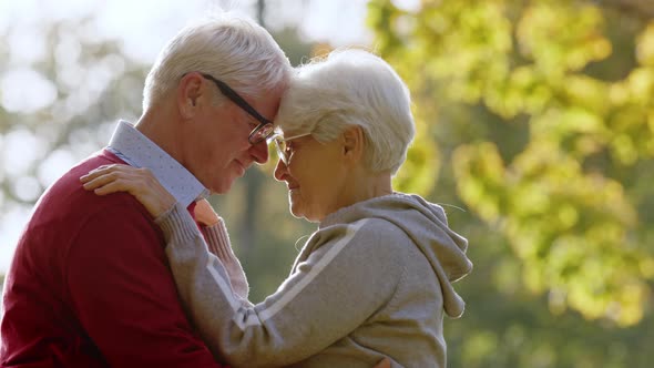 Two Caucasian Elderly Greyhaired People Hugging and Touching Each Others Foreheads alt