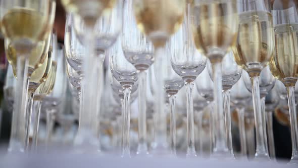 Glasses of Champagne at the Banquet, White Sparkling Wine in Wine Glasses, Festive Mood