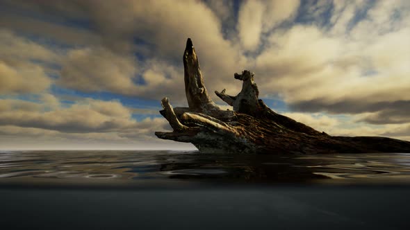 Ocean Seascape with Sky and Ocean Wave Splitted By Waterline to Underwater Part alt