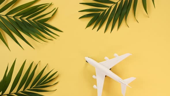 Model of a Toy Airplane of White Color and Palm Leaves on a Yellow Background alt