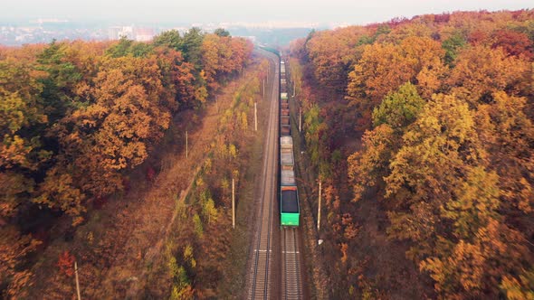 Freight Train in Beautiful Forest in Fog at Sunrise in Autumn