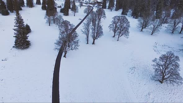 Aerial view of a car driving on a country road surrounded by trees during a snow-covered winter. alt