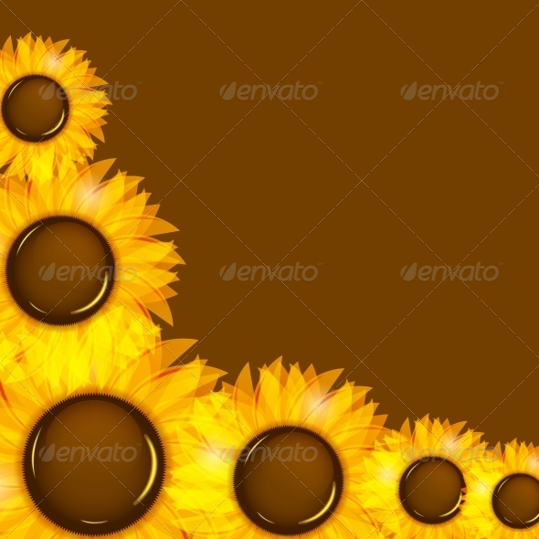 Sunflowers Vector Illustration Background - Seasons Nature