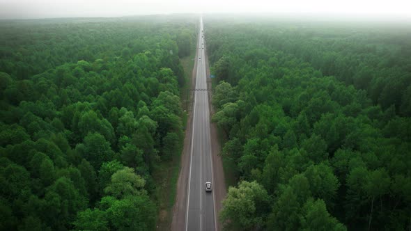 A Lonely Road with Traffic Between Green Forests