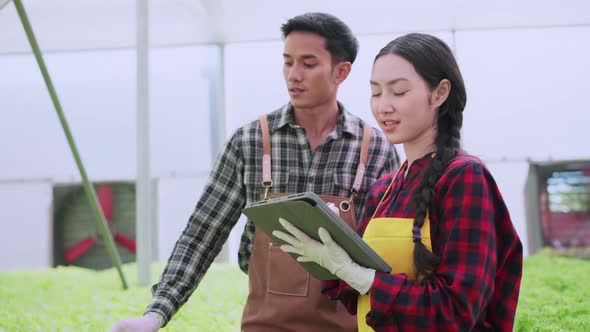 asian male and female farmer checking quality of greenhouse hydroponic farm
