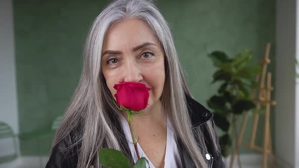 Attractive Mature Woman with Gray Hair Smelling the Red Rose while Looking at Camera alt