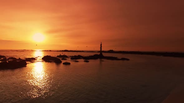Beach Sunrise with Seagulls alt