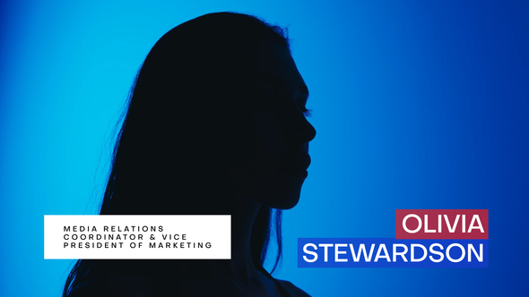 Animated Lower Thirds Elements template preview