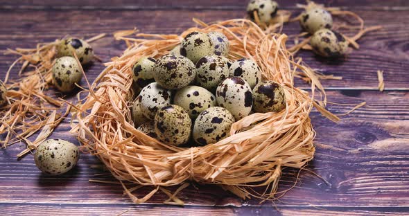Quail Eggs in Nest On Wood 