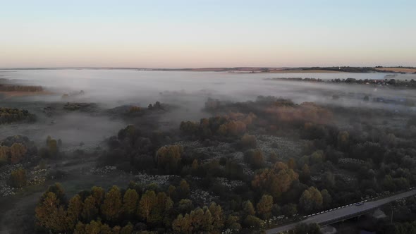 14 Morning Fogs In The Fields