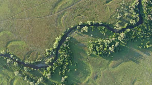 Top View of Small River Floodplain Surrounded By Willow Trees