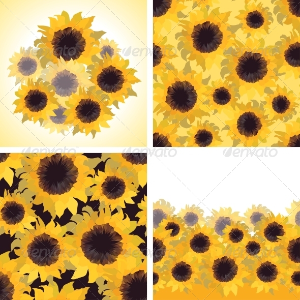 Sunflower Patterns and Backgrounds. - Flowers & Plants Nature