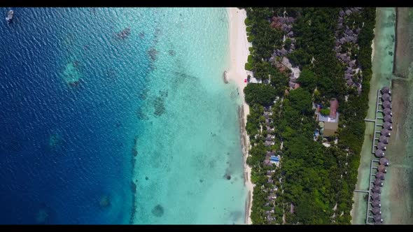 Aerial abstract of luxury lagoon beach wildlife by blue water and white sandy background of a picnic alt
