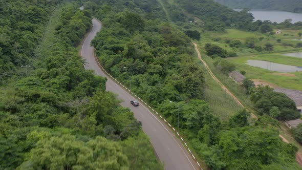 Caring through great vegetation alt