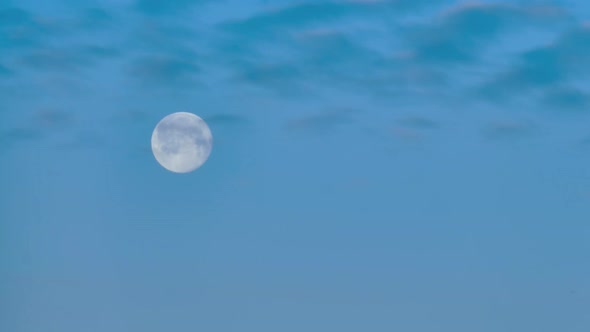 Big round moon in the blue morning sky, timelapse