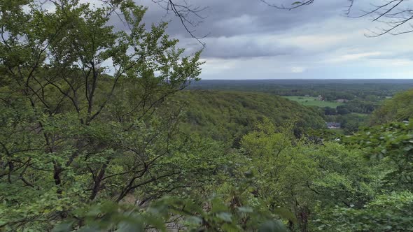 Drone Shot Flying Between Branches and Out Over Valley