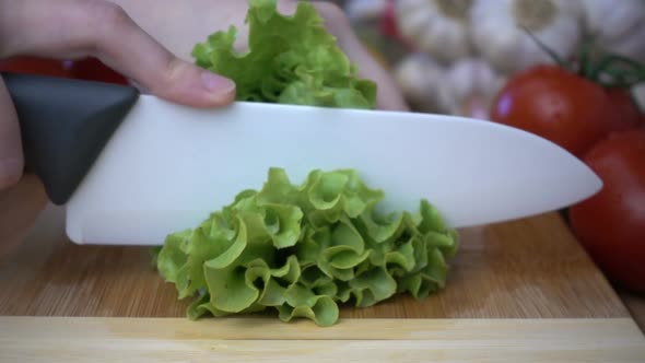 Chopping of fresh Lettuce